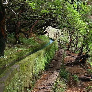 https://moradia-ponte-de-pedra.madeira-islandshotels.com